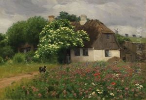 Bauernhaus Mit Blumenwiese