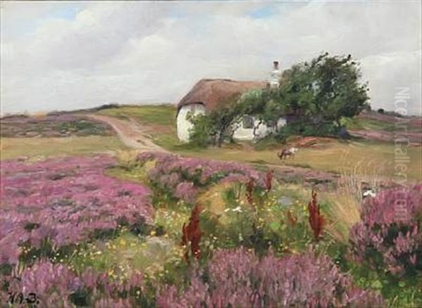Summer Day In The Countryside With Heather And A Thatched Cottage In The Background - view 1