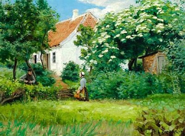 A Meeting In A Lush Garden Of A Whitewashed Cottage. The Elderberries Are In Bloom - view 1