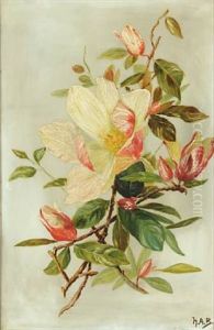 Magnoliabranches In Blossom