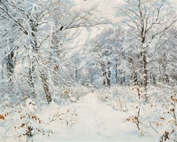 A Winter Day In The Forest With Newly-fallen Snow - view 1