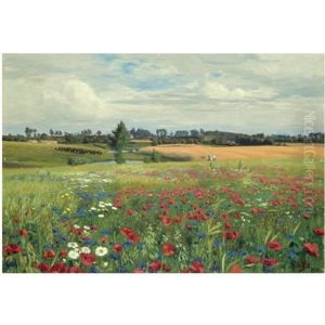 Mark Med Valmuer Og Margueritter by Hans Andersen Brendekilde