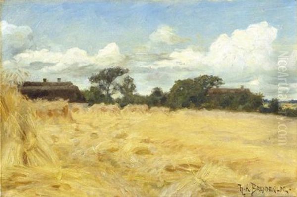 Hvedemarker - view 1