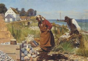 Skaervehuggere Ved Stranden. Stevns Skaervehuggere Ved Stranden. Stevns
