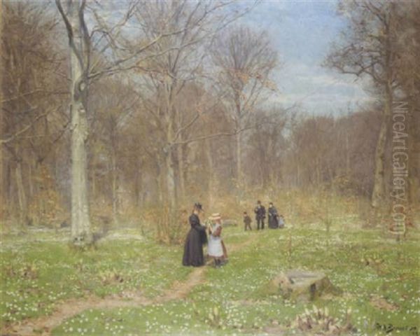 Woods In Spring - view 1