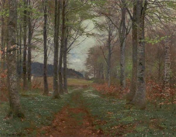 Vej Gennem Bogeskov, Forar - view 1