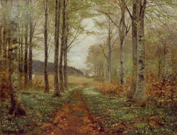 Nyudsprungen Bogeskov - view 1