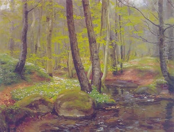 Blomstrende Forarsskov Med Alob - view 1