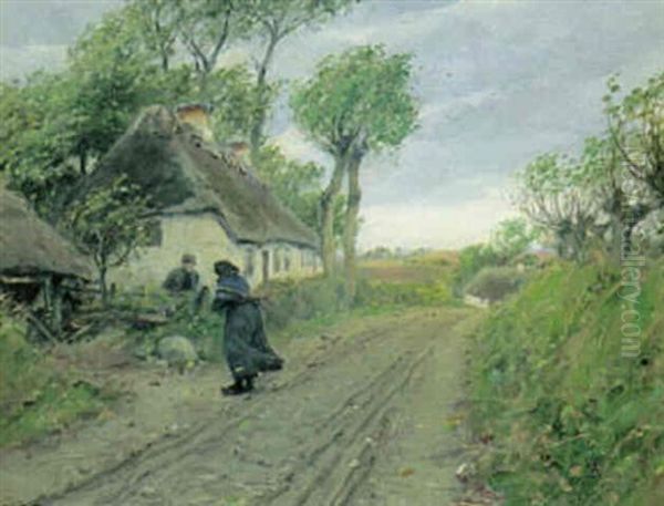 Nabosnak Pa Landevejen - view 1