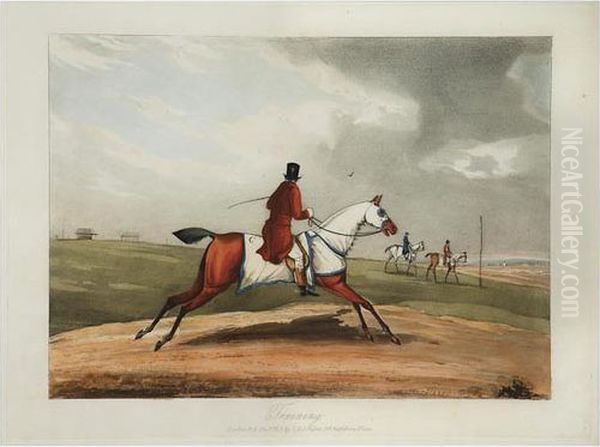 Training; Saddled - view 1