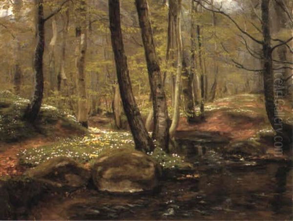 A Forest Clearing - view 1