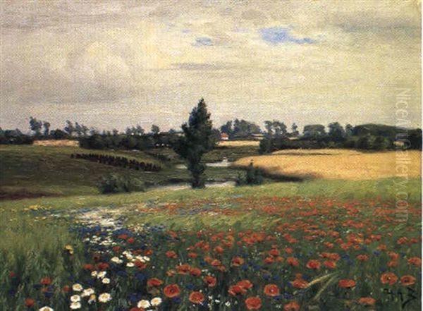 Marker Med Valmuer, Margueritter Og Kornblomster - view 1