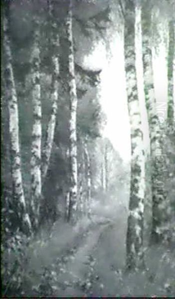 Parklandskap - view 1