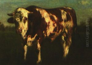 Stier Auf Sommerlicher Weide Stier Auf Sommerlicher Weide