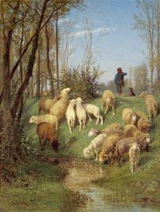 Sommerliche Landschaft Mit Schafen