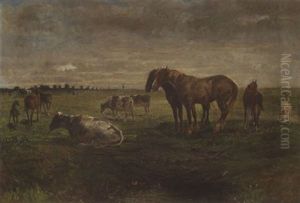 Kuhe, Pferde Und Ein Schaf Auf Der Weide Kuhe, Pferde Und Ein Schaf Auf Der Weide