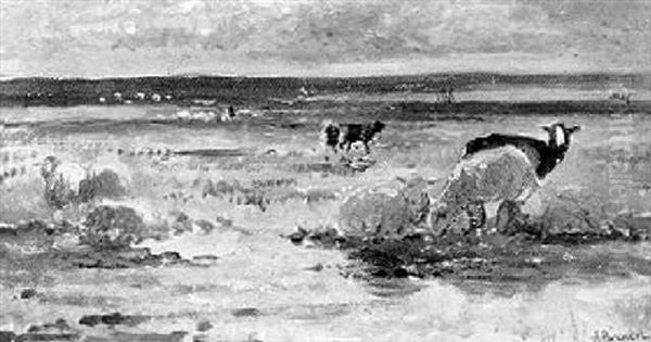 Schafherde Bei Ebbe Am Strand - view 1