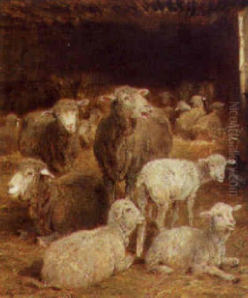 Sheep And Lambs In A Barn - view 1