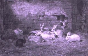 Bundle Of Rabbits by Albert Heinrich Brendel