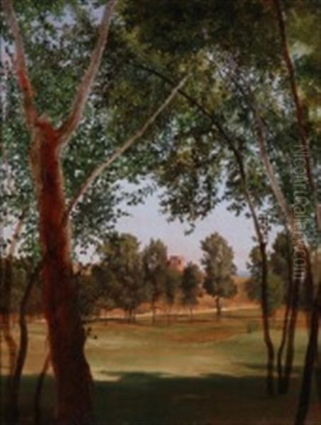 A Ruined Castle Seen Through A Wooded Landscape - view 1