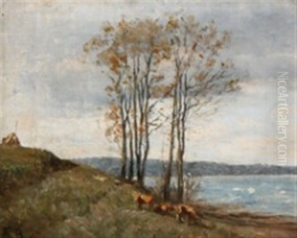 Three Cows On A Hilly Stretch Of Coast - view 1