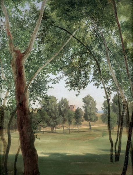 Sommerlandschaft Mit Kastell Im Hintergrund - view 1