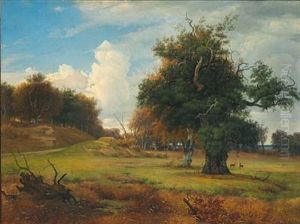 En Gammel Eg I Jaegersborg Dyrehave. An Old Oak In Dyrehaven (the Deer Park) North Of Copenhagen