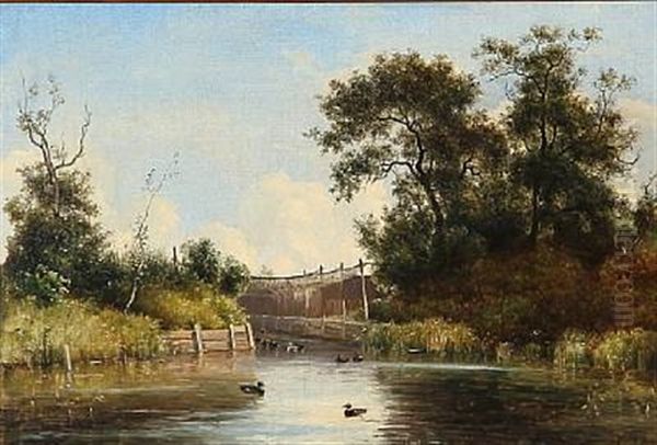 Summer Idyll With Ducks At A Lake - view 1