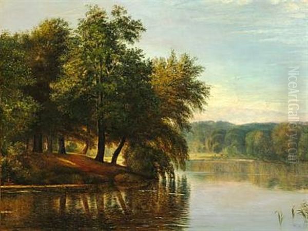 Danish Late Summer Landscape With Tall Trees At A Stream - view 1