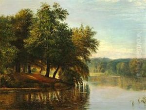 Danish Late Summer Landscape With Tall Trees At A Stream