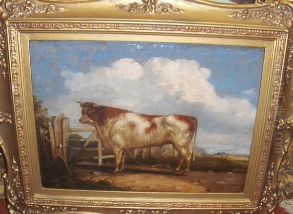 A Prize Cow - view 1