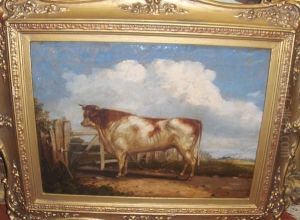 A Prize Cow