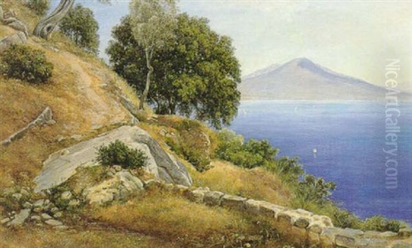 Ved Casamicciola Paa Ischias, I Baggrunden Sees Camaldole Og Vesuv, Procida Og Nisida - view 1