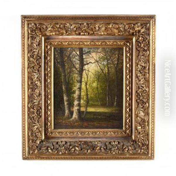 Forest Interior - view 1