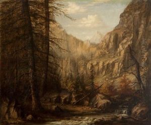 Stream Through A Mountain Gorge