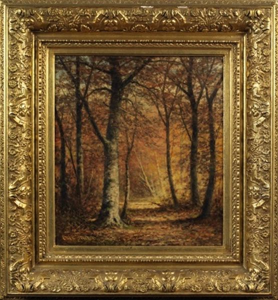 Forest Landscape - view 1