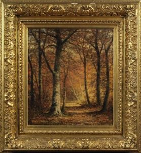 Forest Landscape Forest Landscape