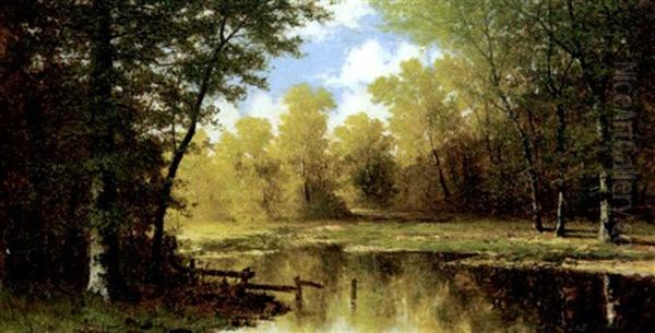 Sunlit Stream - view 1