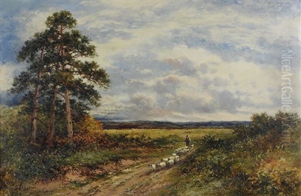 Hambledon Common, Surrey - view 1