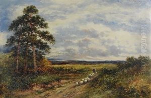 Hambledon Common, Surrey Hambledon Common, Surrey