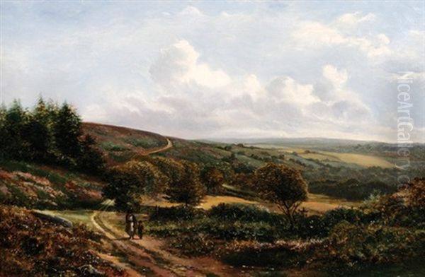 Near Blackborough, Devon - view 1