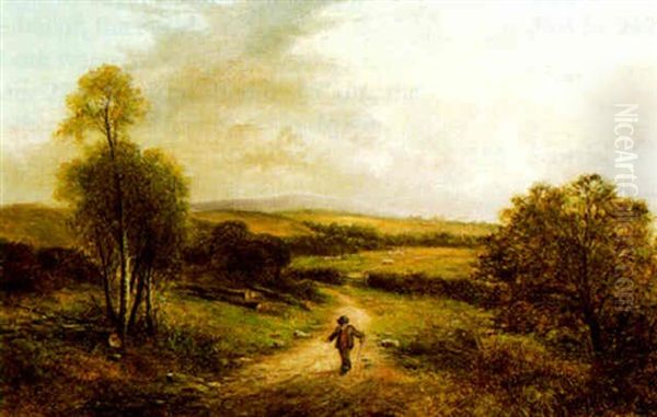 Culmstock Common - view 1