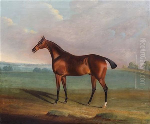 The Brown Horse - view 1
