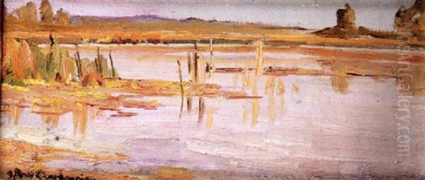 Marisma - view 1