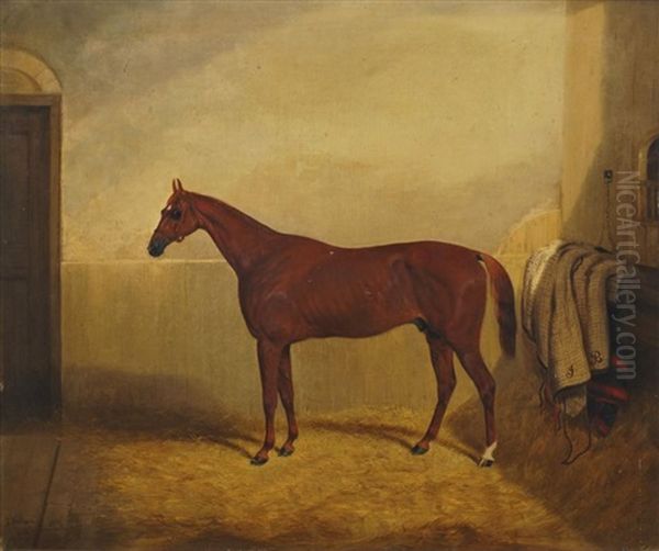 Racing Horse In A Stable, Reputed To Be Daniel O'rourke, Winner Of The Epsom Derby, 1852 - view 1
