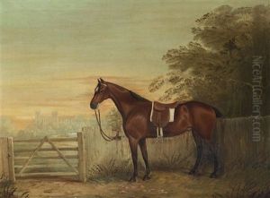 A Bay Hunter With Beverly Minster In The Background