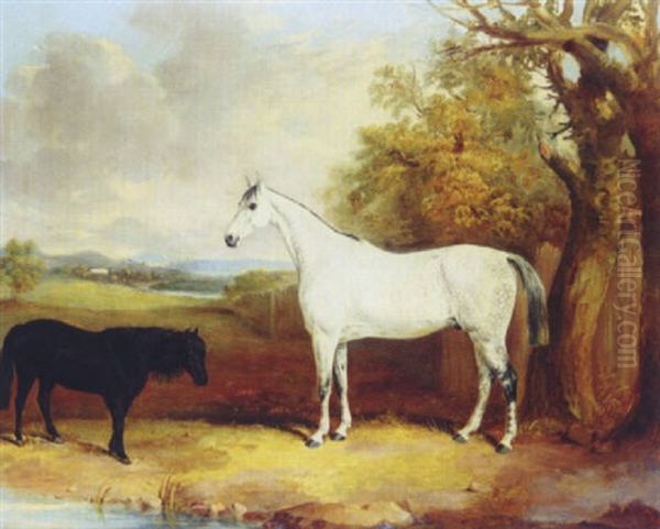 The"baron", A Dapple Grey Hunter, With "tom Thumb", A Black Pony, In A Field - view 1
