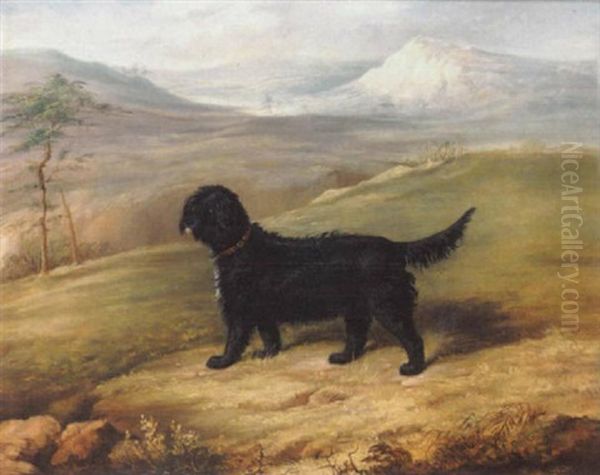 Romp, An Irish Water Spaniel In A Landscape - view 1
