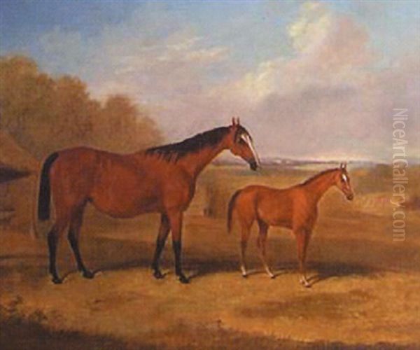 Portrait Of A Mare And Foal In A Landscape - view 1