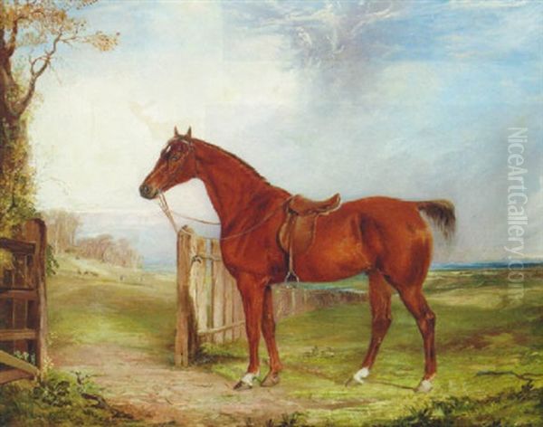 A Saddled Chestnut Hunter In An Extensive Landscape With A Hunt Beyond - view 1